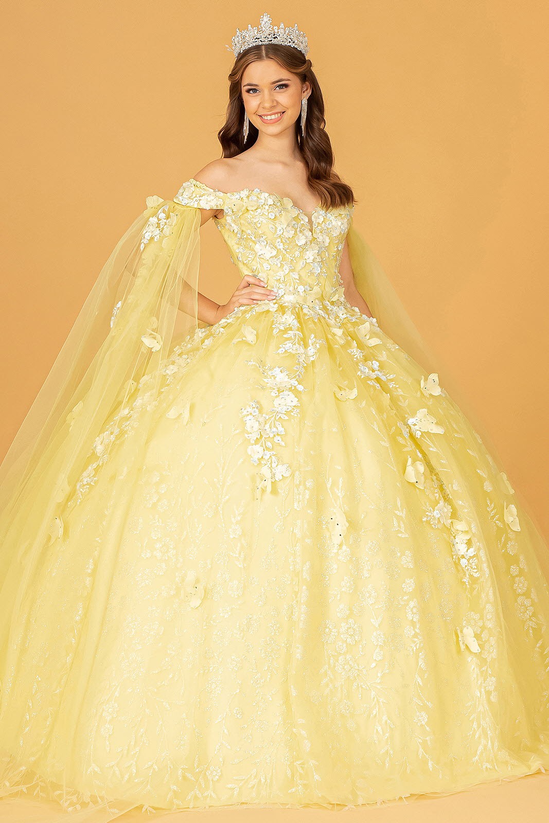 Quinceanera Dress Quince-17