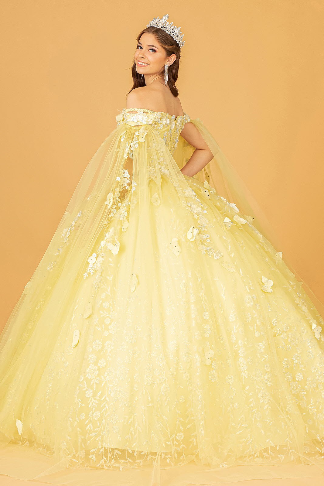 Quinceanera Dress Quince-17