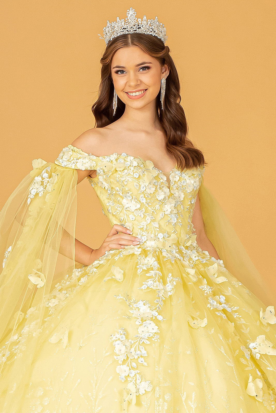 Quinceanera Dress Quince-17