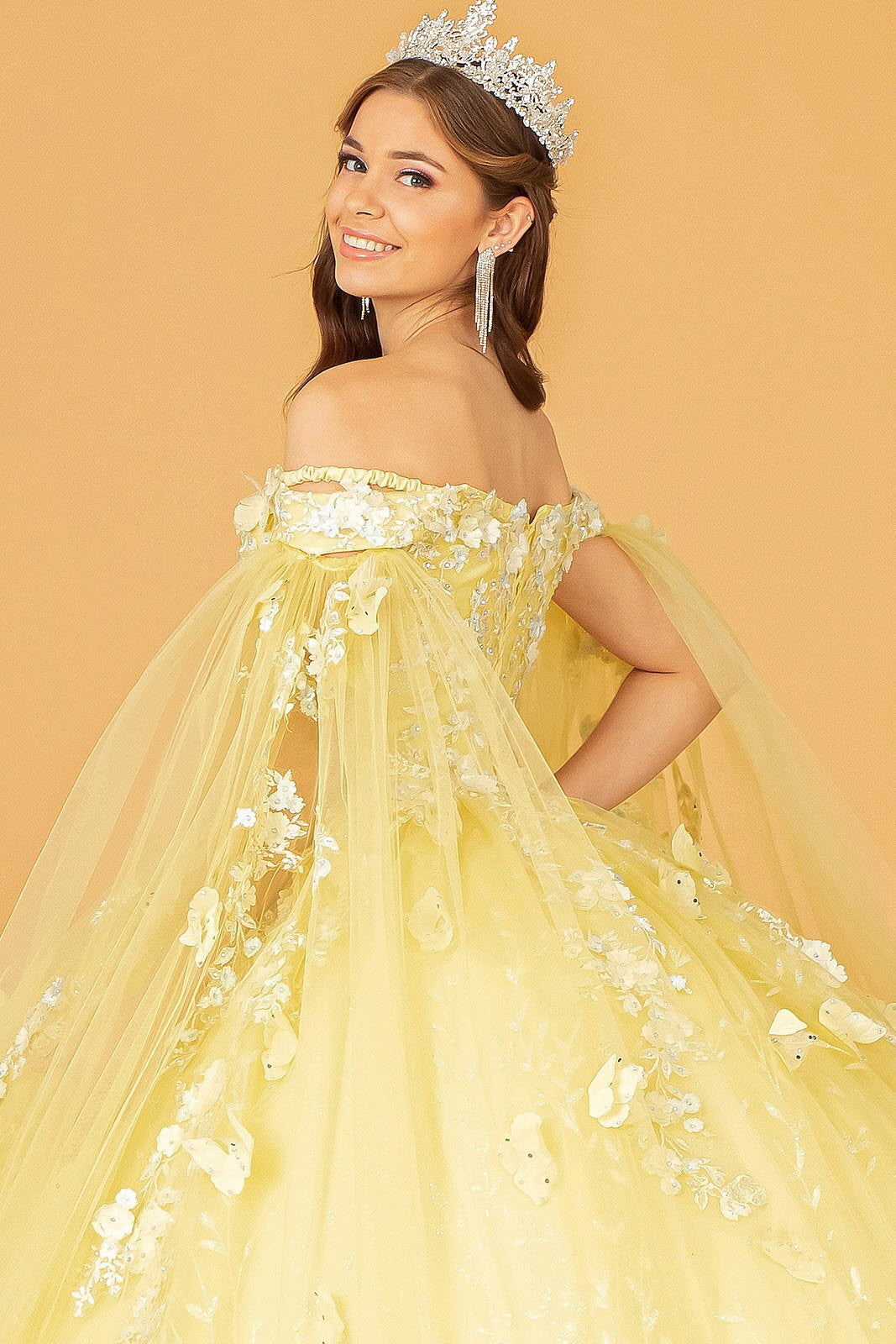 Quinceanera Dress Quince-17