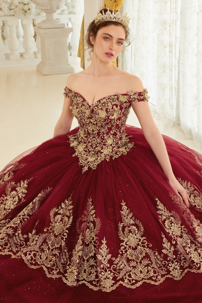 Quinceanera Dress Quince-11