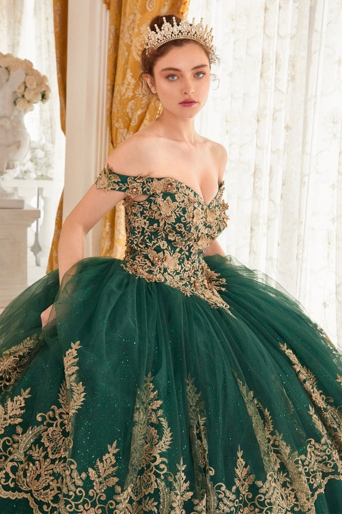 Quinceanera Dress Quince-11