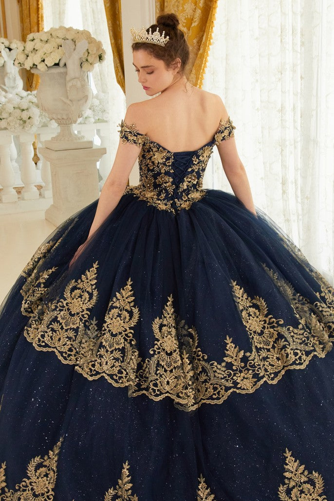 Quinceanera Dress Quince-11