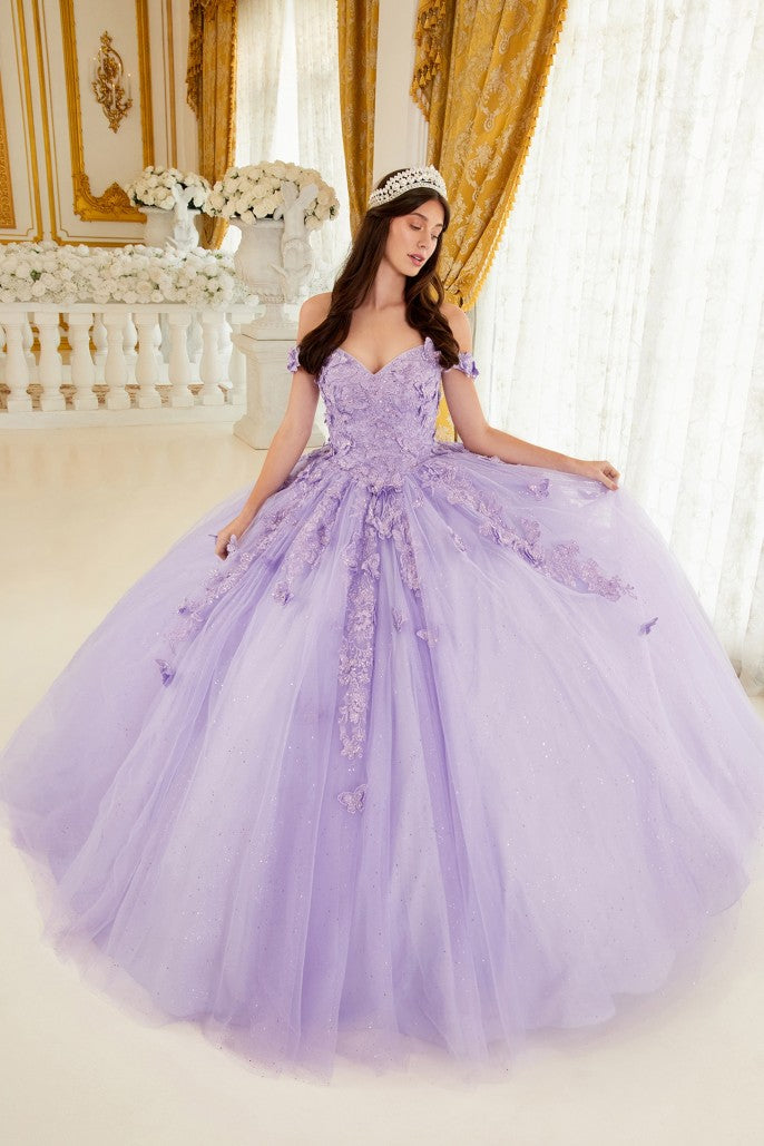 Quinceanera Dress Quince-09